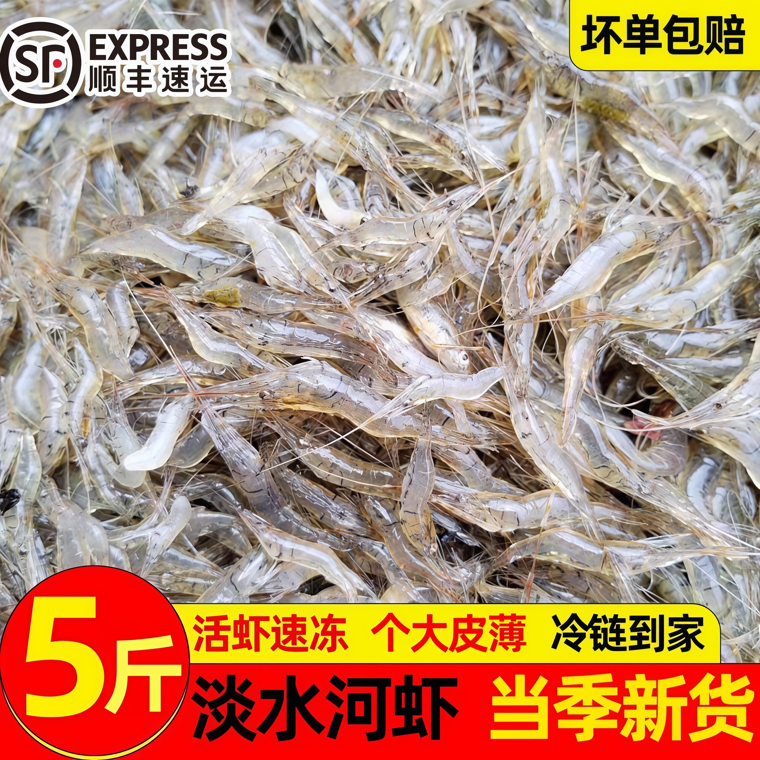 野生淡水小河虾当季现捕鲜活速冻图片