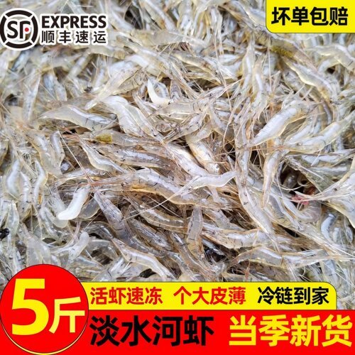 野生淡水小河虾当季现捕鲜活速冻