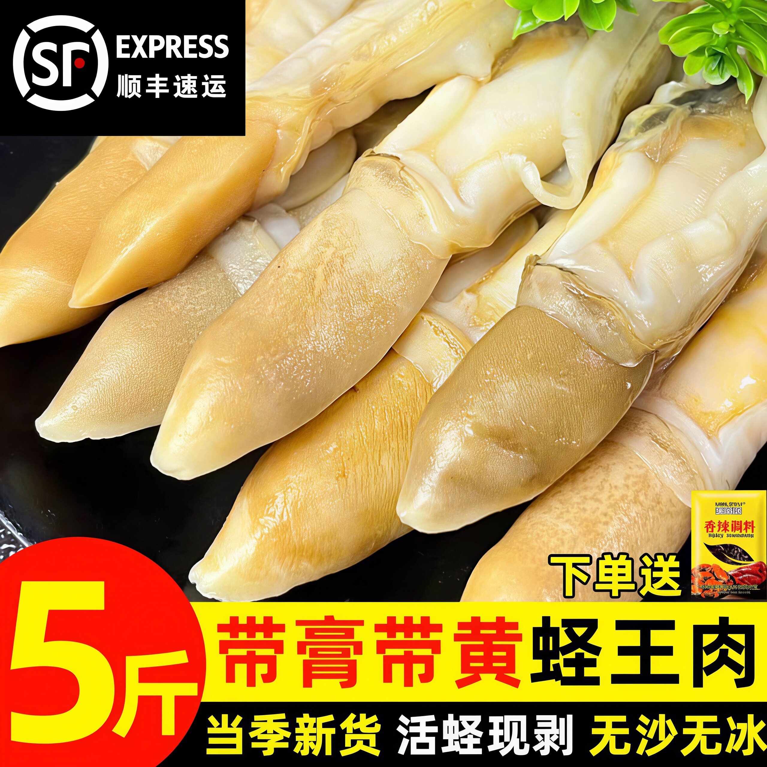 大个熟冻蛏王肉新鲜冷冻海鲜商用
