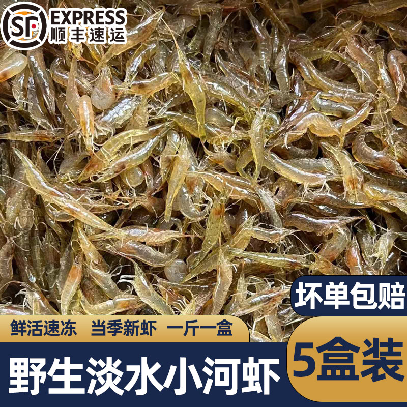 野生当季小河虾鲜活速冻商用批发