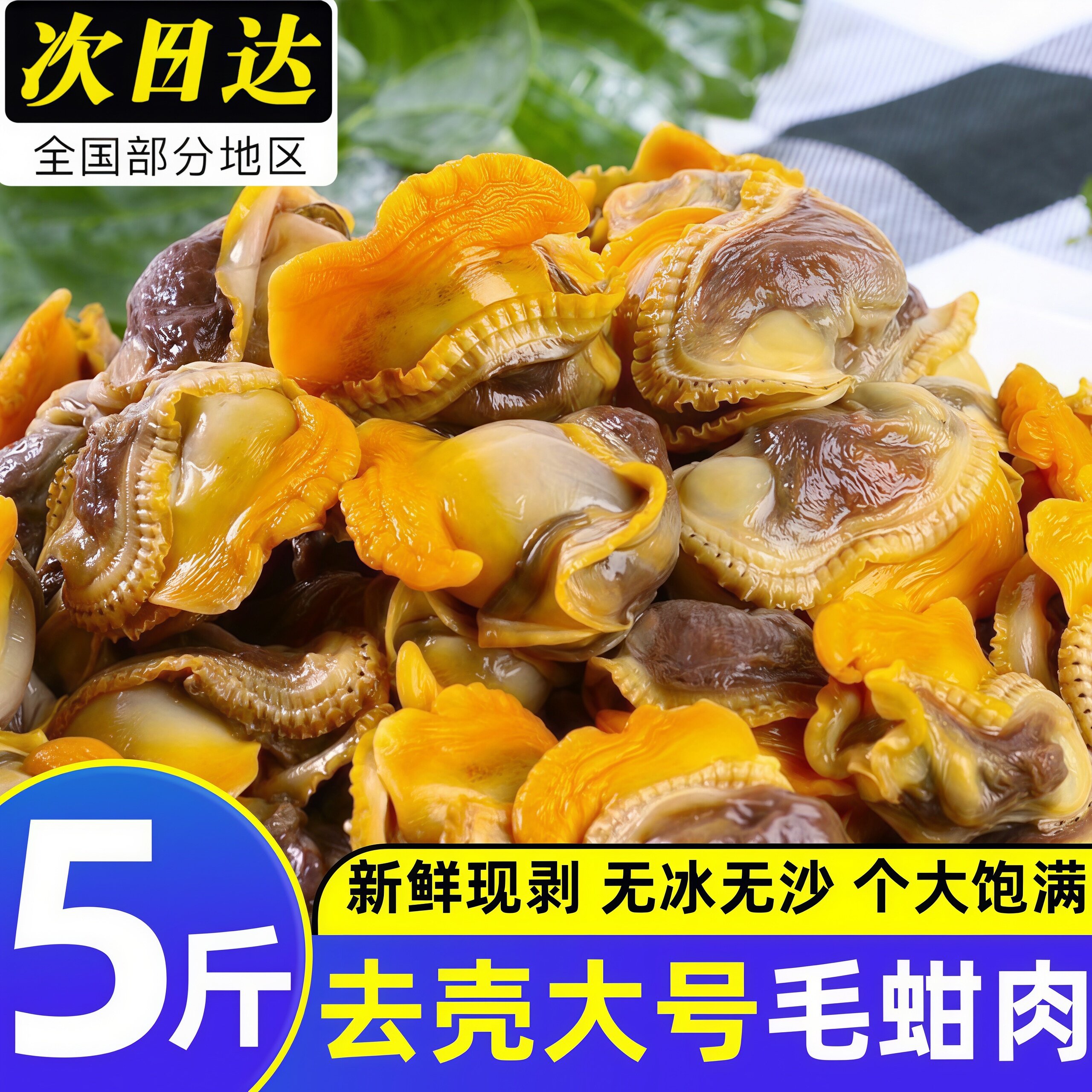 赤贝肉冷冻毛蛤蜊肉毛蚬子毛蚶