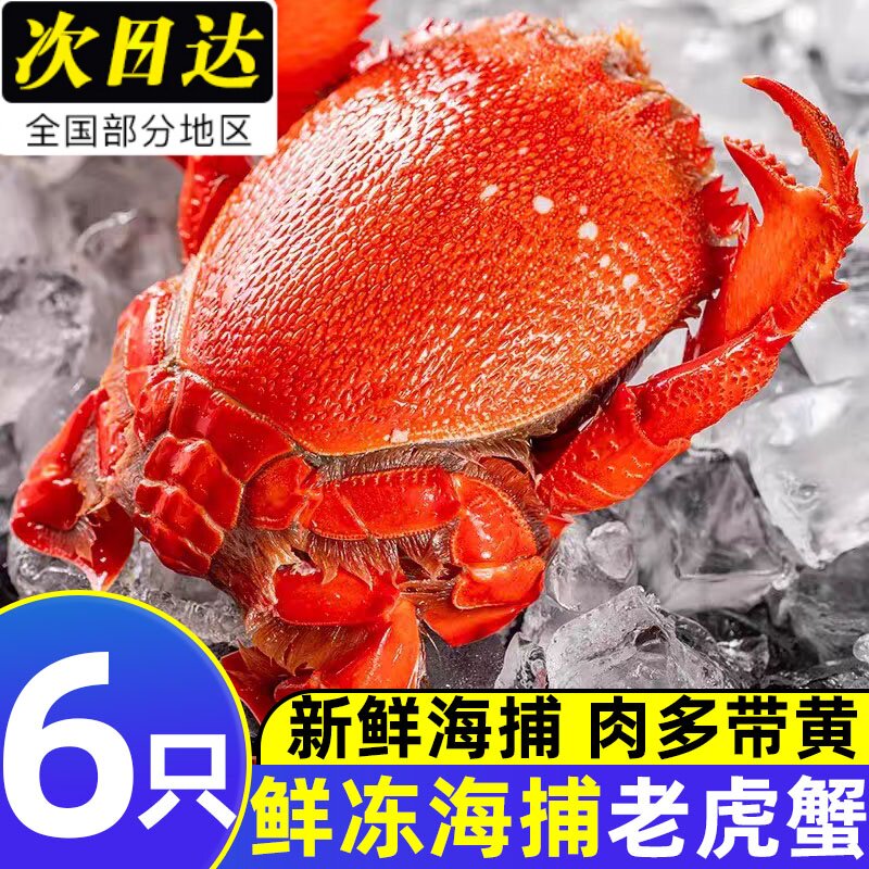 新鲜老虎蟹速冻虎头蟹旭蟹新鲜冻蟹速冻螃蟹海鲜海蟹贵妃商用批发