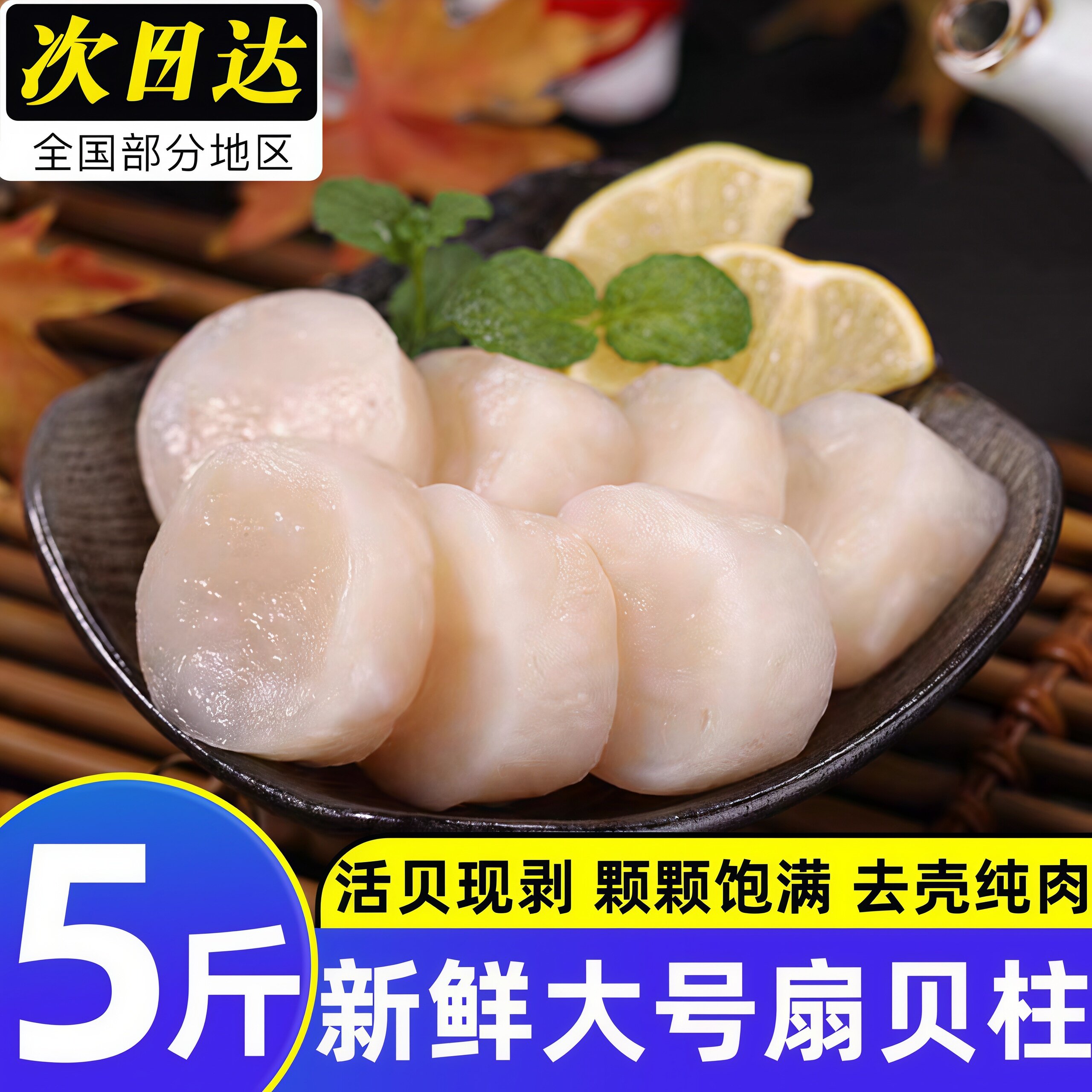 新鲜扇贝柱瑶柱鲜贝柱鲜活现剥