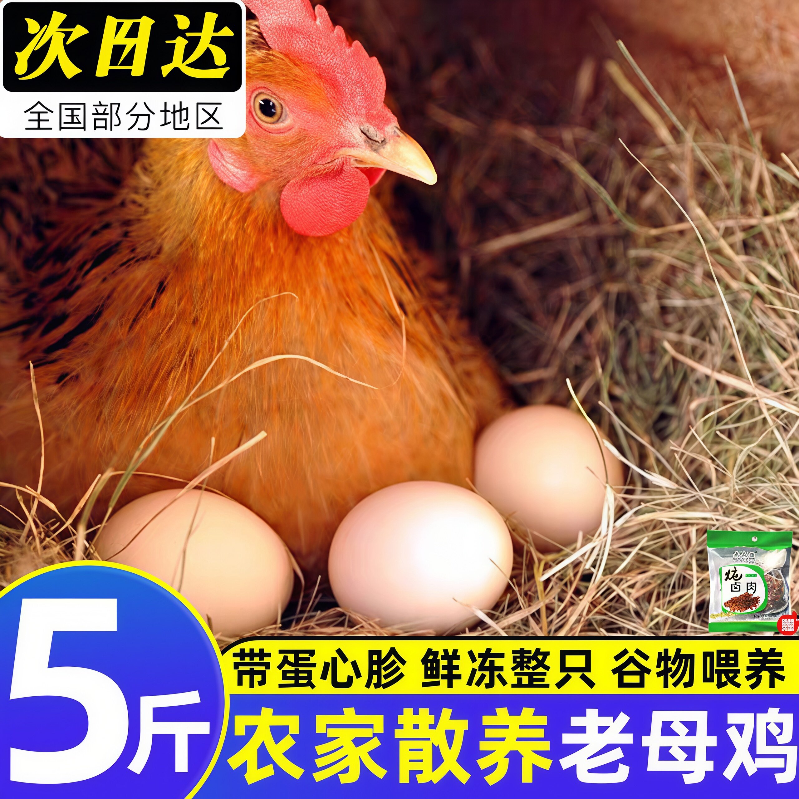 老母鸡土鸡农家散养正宗土鸡走地鸡新鲜现杀整只溜达鸡黄油老母鸡