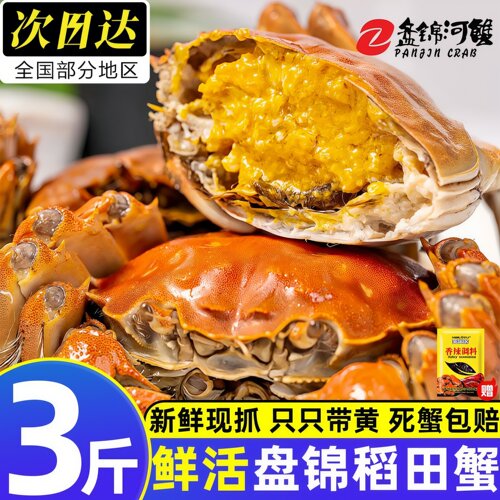 盘锦鲜活河蟹产地直发顺丰