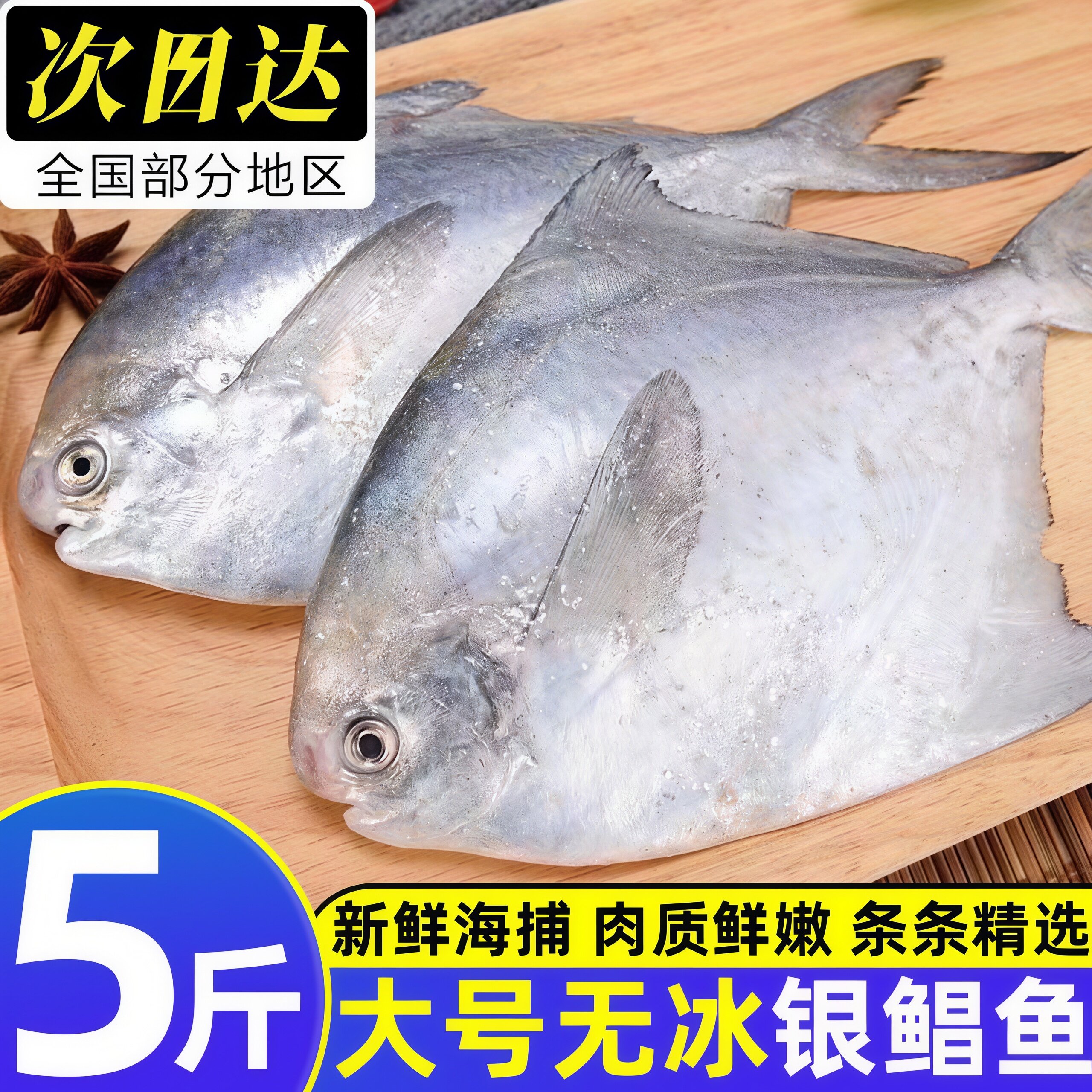 大号深海银鲳鱼冷冻整箱批发