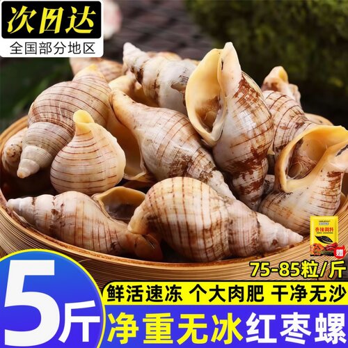 贝贝螺冷冻海螺贝类酒店商用