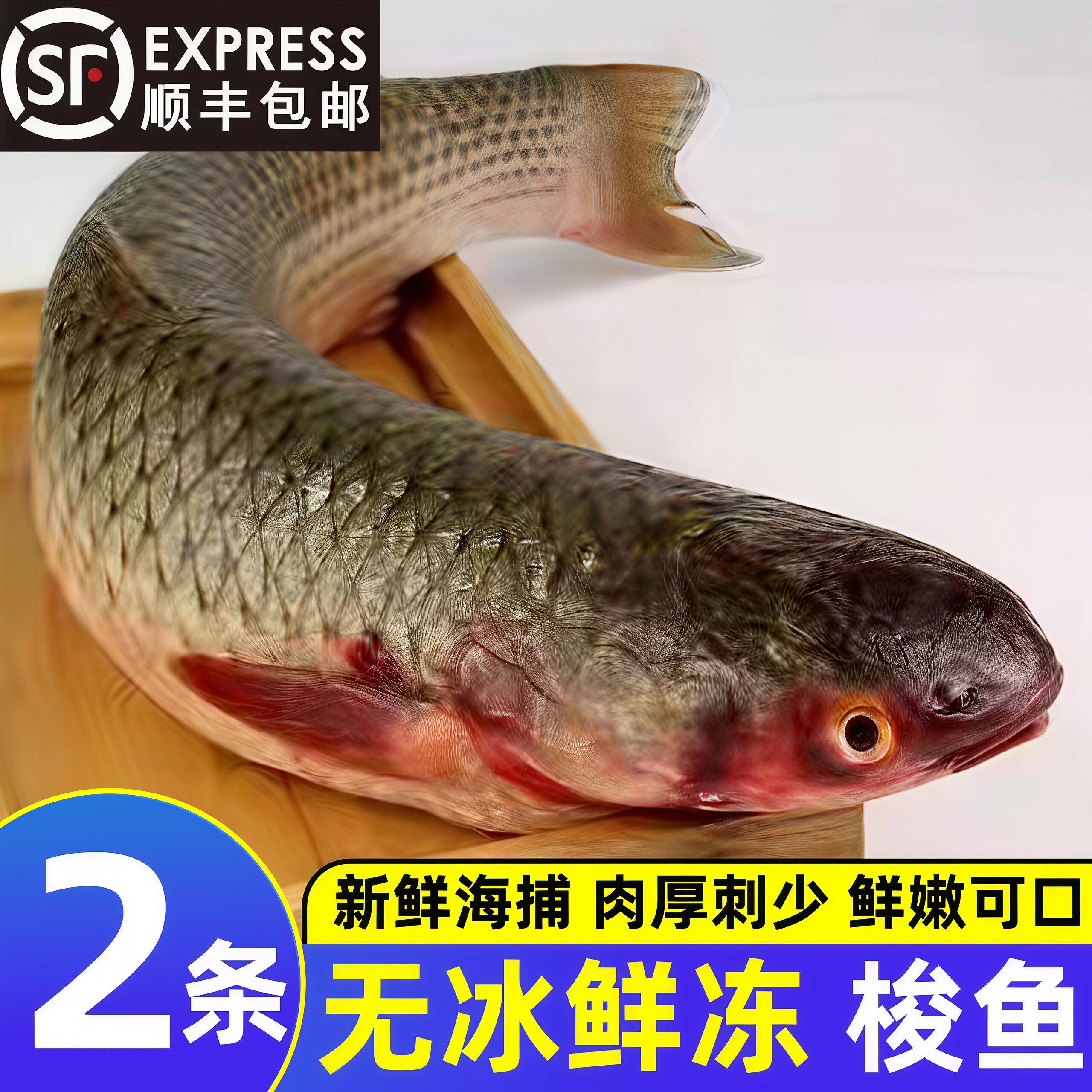 山东青岛海捕鲜冻梭子鱼整条