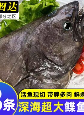 鲽鱼头深海新鲜鸦片鱼头新鲜冷冻