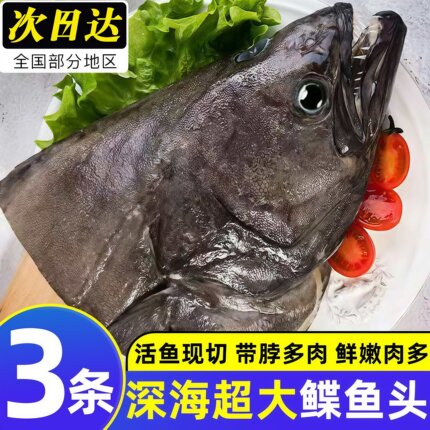 鲽鱼头深海新鲜鸦片鱼头新鲜冷冻鲽鱼头比目鱼海鲜鱼类批发商用