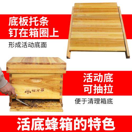 活底蜂箱杉木煮蜡内置巢门通风口已经开好活动底蜜蜂箱养蜂工具