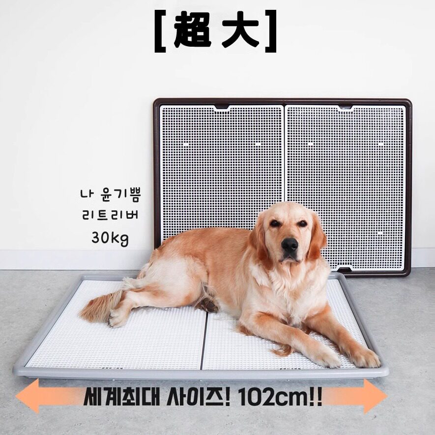 狗狗宠物超大号用品排便