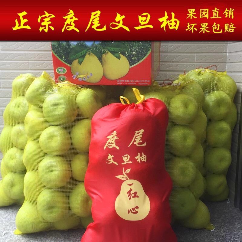 正宗仙游度尾文旦柚子福建莆田红心蜜柚孕妇新鲜水果青柚溪口红柚
