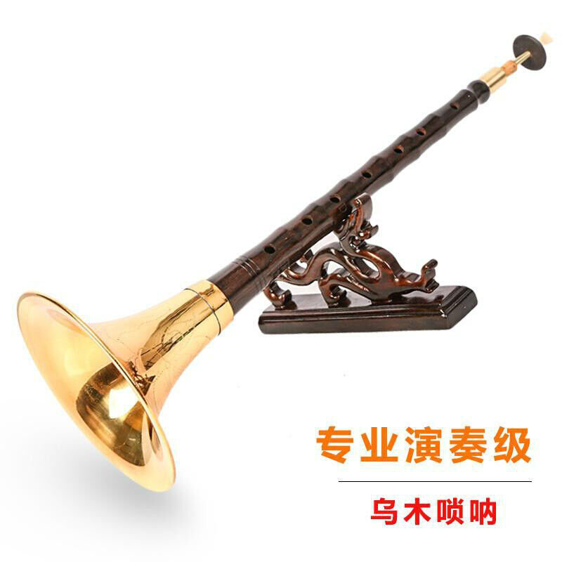 黄氏管乐唢呐乐器全套初学者专业演奏高档乌木d调纯铜大小号专业