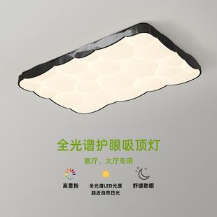 吸顶灯客厅现代简约全光谱护眼卧室房间灯长方形家用黑色大厅灯具