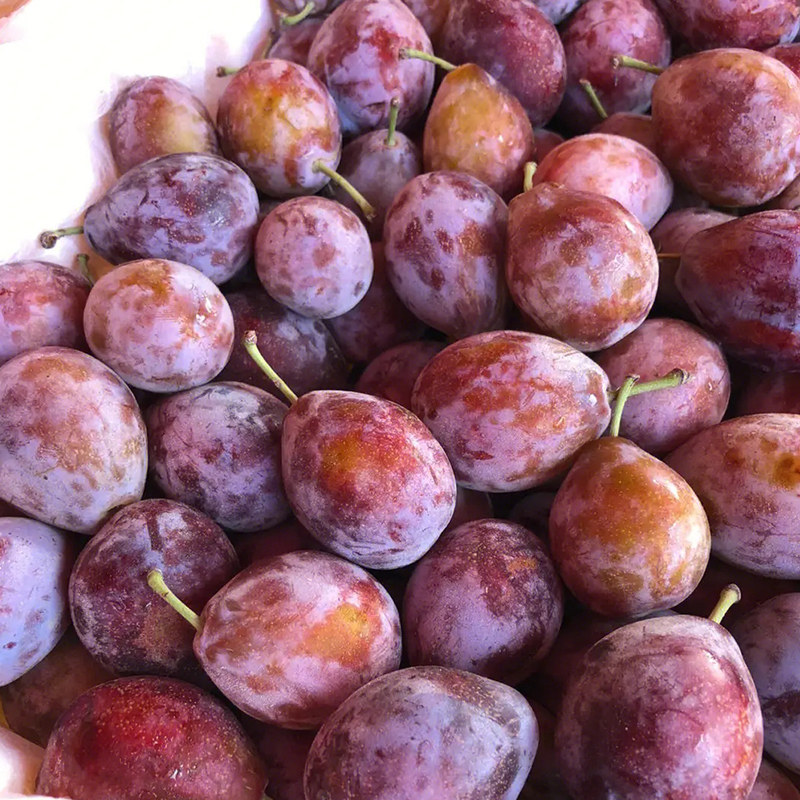 智利进口西梅单果15g起1斤/2斤/4斤新鲜水果顺丰包邮