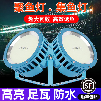 高效LED集鱼灯1W12船用捕