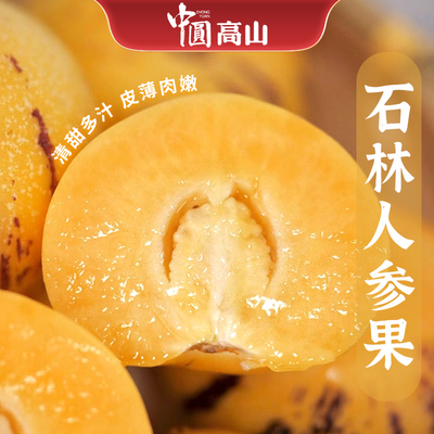 云南石林人参果新鲜圆果七彩果