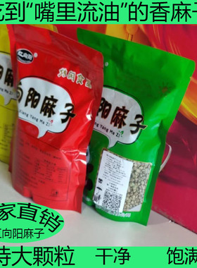 甘肃特产天水麻子零食炒熟大粒原味新货食用特大颗粒人吃麻籽即食