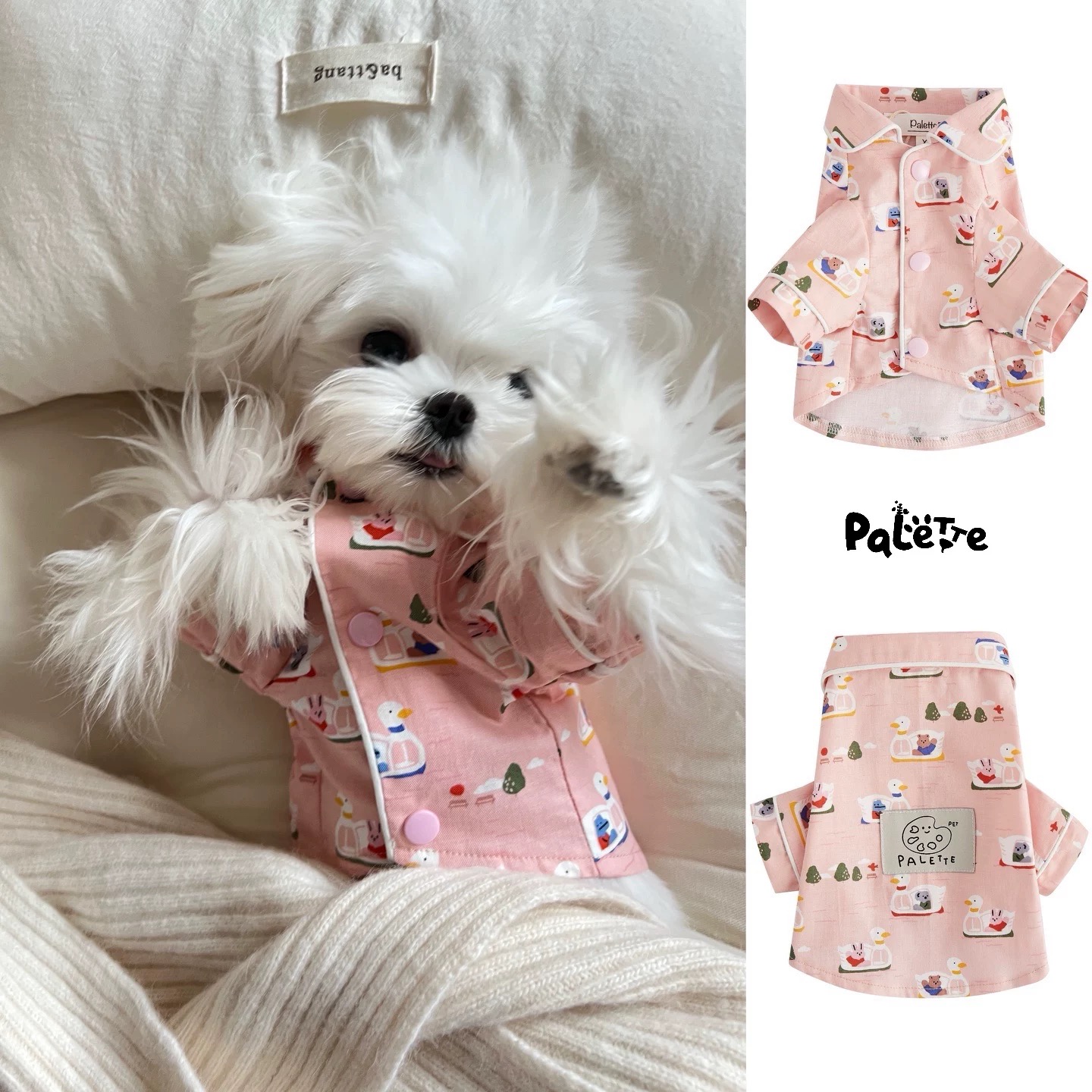 春夏宠物马尔济斯雪纳瑞服装
