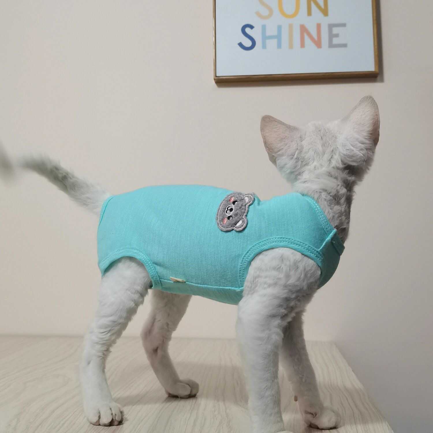德文宠物猫咪夏季薄款纯棉背心