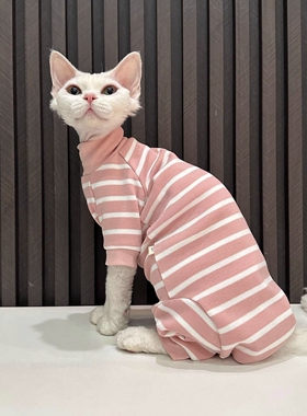 无毛猫衣服德文斯芬克斯猫咪春夏季条纹四脚衣透气防掉毛