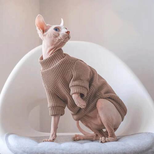 斯芬克斯德文无毛猫衣服