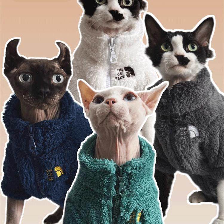 无毛猫秋冬季保暖外套衣服斯芬克斯德文加厚冬保暖四色羊羔绒外套,宠物/宠物食品及用品,猫宠物服装/雨衣（新）,淘宝优惠券,粉丝福利购,淘宝优惠卷