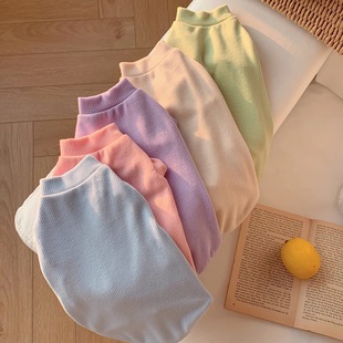 无毛猫德文婴儿棉衣服斯芬克斯猫背心保暖不过敏材质乔木棉