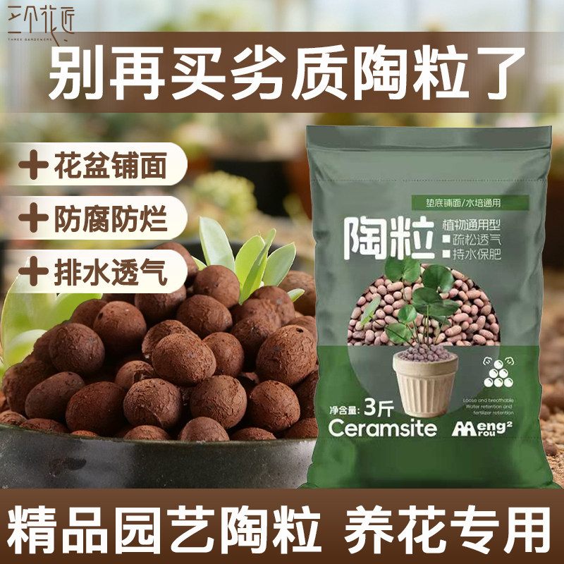 陶粒垫底养花专用水培种花植物花