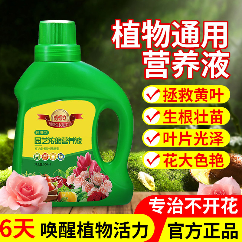 幸福树专用肥料营养液植物通用家用盆栽发财树水培绿萝多肉绿植,鲜花速递/花卉仿真/绿植园艺,家庭园艺肥料,淘宝优惠券,粉丝福利购,淘宝优惠卷