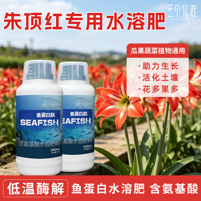 朱顶红专用鱼蛋白氨基酸水溶肥海藻氨基酸花卉绿植通用有机营养液
