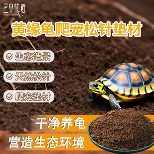 黄缘龟松针垫材半水龟饲养改善水质龙眼叶草龟安缘陆龟松树皮垫料