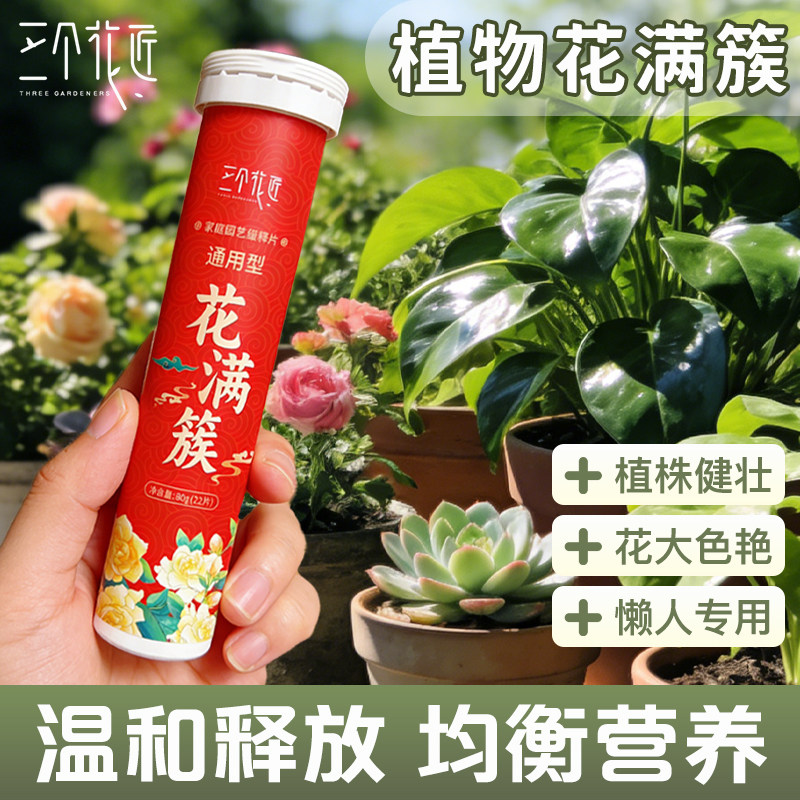 植物营养片通用型花肥营养缓释片绿植花卉养花果蔬菜发财树肥料