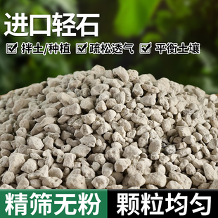 进口日向轻石多肉营养铺面颗粒土种植拌土仙人球兰花石盆景扦插土