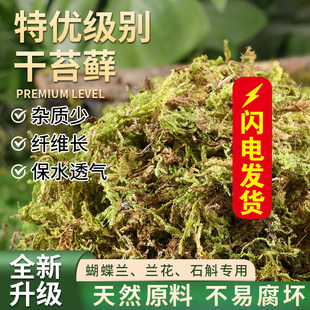 干苔藓水苔青苔兰花蝴蝶兰石斛种植专用营养土乌龟爬宠垫材铺面