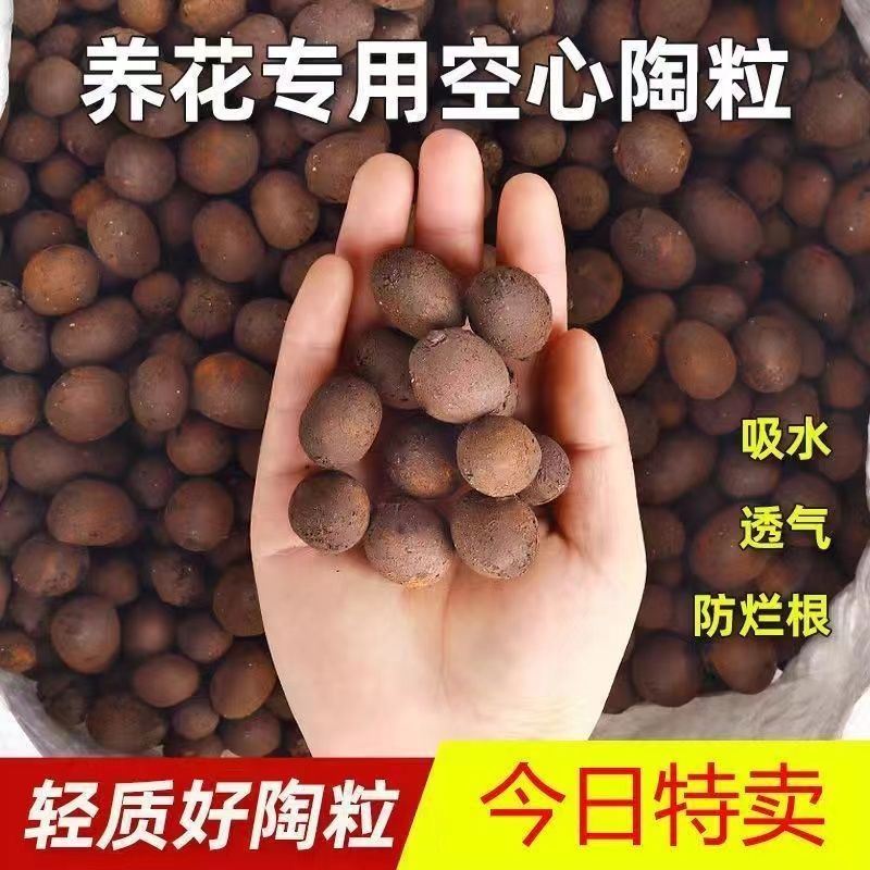陶粒养花专用花盆铺面垫底球型空心清仓回填水培植物固定颗粒多肉