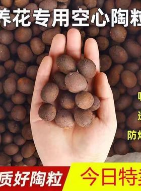 陶粒养花专用花盆铺面垫底球型空心清仓回填水培植物固定颗粒多肉