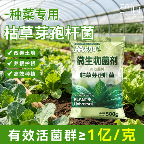 种菜专用枯草芽孢杆菌微生物菌剂