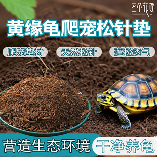 黄缘龟垫材半水龟生态环境造景安缘龟箱保湿专用松针松树皮龙眼叶