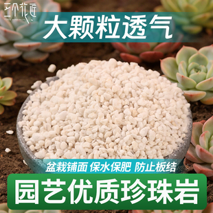 硬质珍珠岩养花用多肉育苗大颗粒膨胀蛭石兰花专用园艺植料营养土