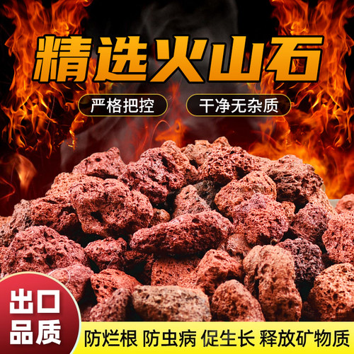 火山石颗粒养花石斛兰花专用多肉