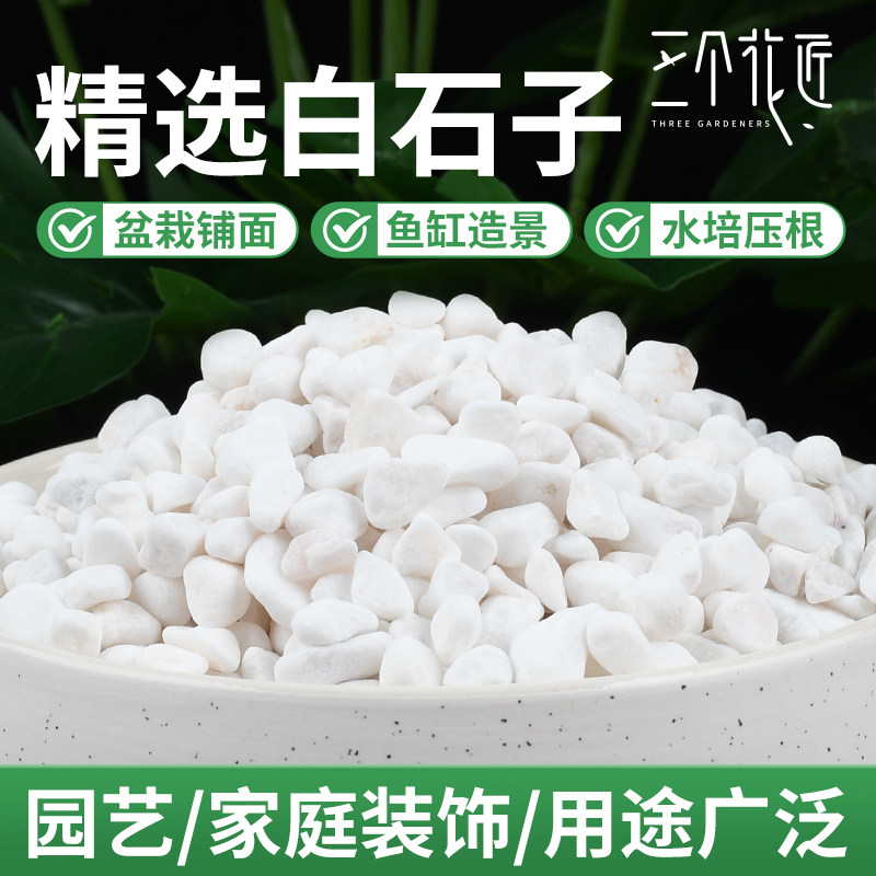 水族造景专用小白石子天然原石盆栽铺面多肉园艺花水培专用石子