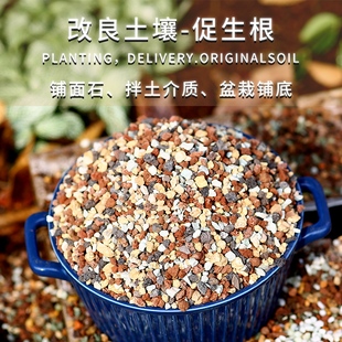 多肉彩虹石纯颗粒绿沸石火山石麦饭石虹彩石赤玉土多肉专用铺面石