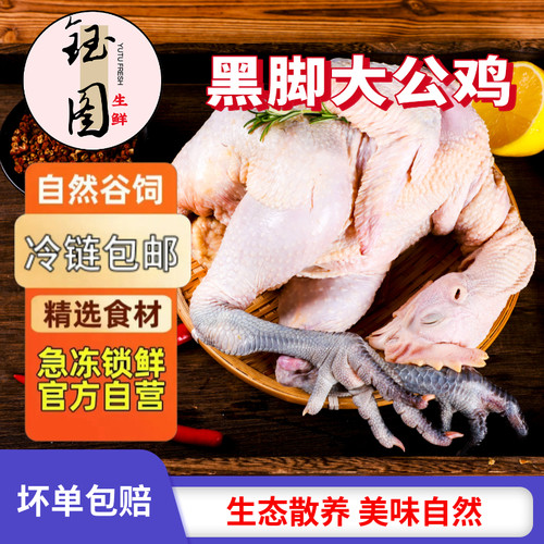 农家散养黑脚土公鸡大公鸡