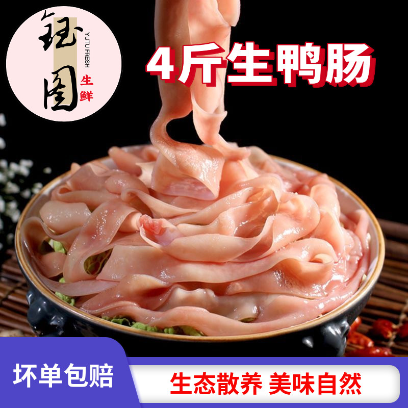 新鲜水发鸭肠生冷冻脆鸭肠免洗商用生鸭肠小串麻辣烫冒菜火锅食材
