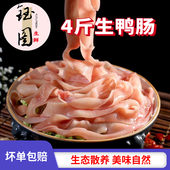 新鲜水发鸭肠生冷冻脆鸭肠免洗商用生鸭肠小串麻辣烫冒菜火锅食材