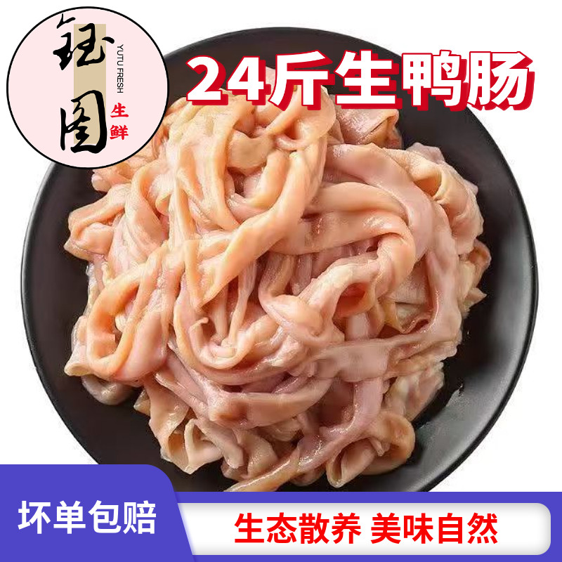 新鲜去油生鸭肠商用火锅食材图片