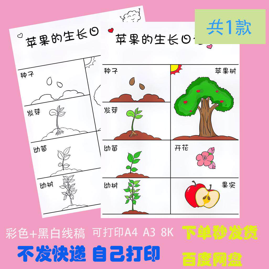 苹果生长笔记手抄报模板学生记录观察植物成长自然笔记电子版