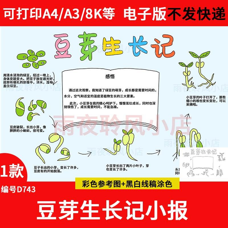 连续七天观察一个植物(连续七天观察一个植物有哪些)